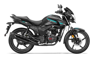 Bajaj domina